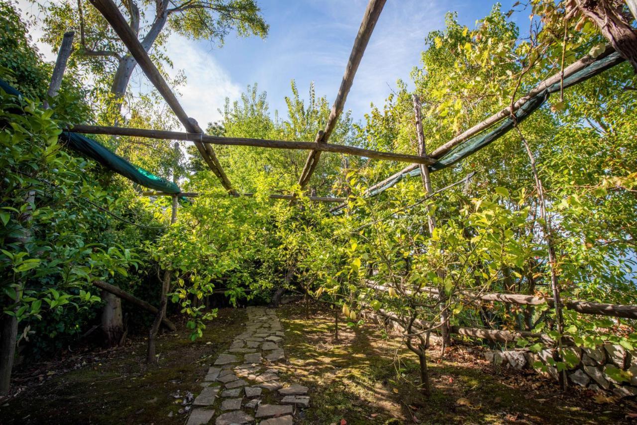 Casa Angelica Villa ซอร์เรนโต ภายนอก รูปภาพ